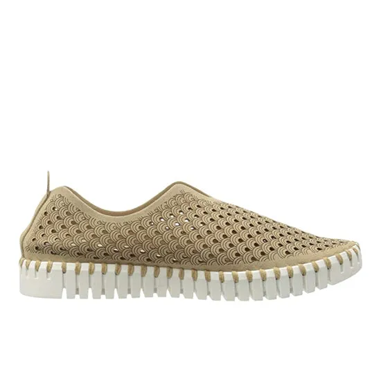 Tulip Durable tread