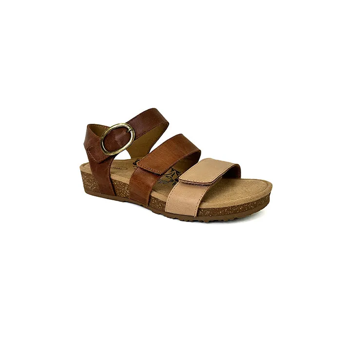 Womens Aetrex Lilly in Walnut Fashion Flex