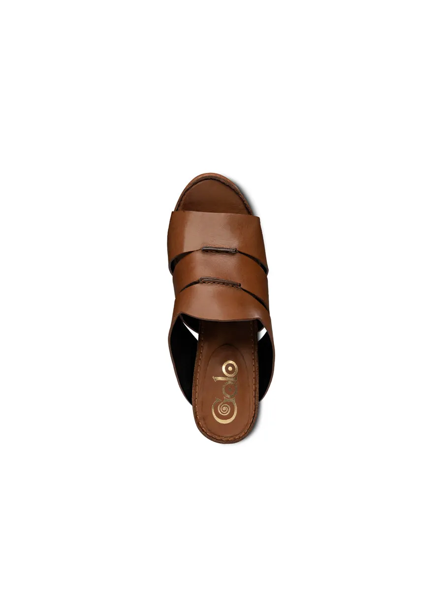 Seamingly Sleek Ease exciting