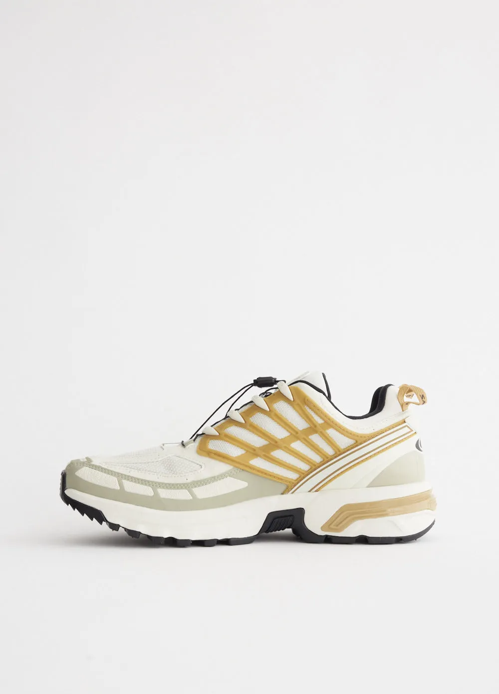 ACS Pro GORE-TEX 'Icicle Antelope Tea' Sneakers hardest