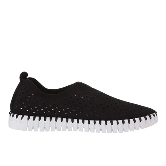 Suede Responsive sole Tulip