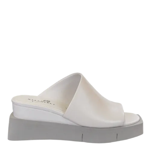 WOMEN'S INFINITY Premium Quality Rich Shade